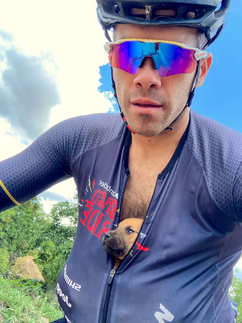 Cyclist Finds Abandoned Puppies — And Carries Them To Safety In His Shirt -  The Dodo
