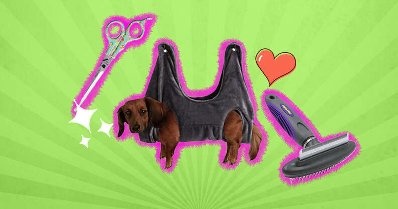 dog grooming scissors, dog in hammock, dog deshedding tool