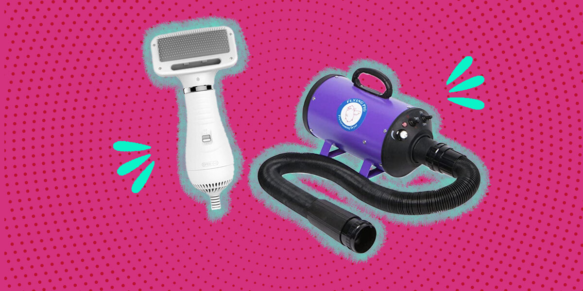 Best 4 Dog Blow Dryers To Give Your Pup A Good Hair Day