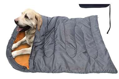 Camping deals dog bed