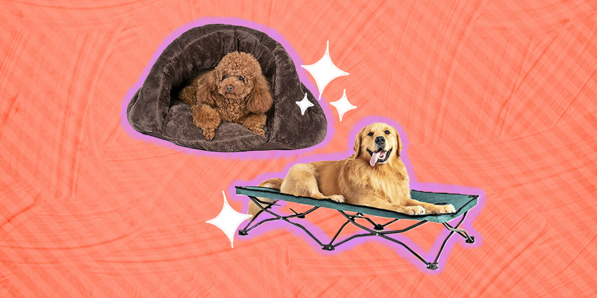 Best dog store bed for camping