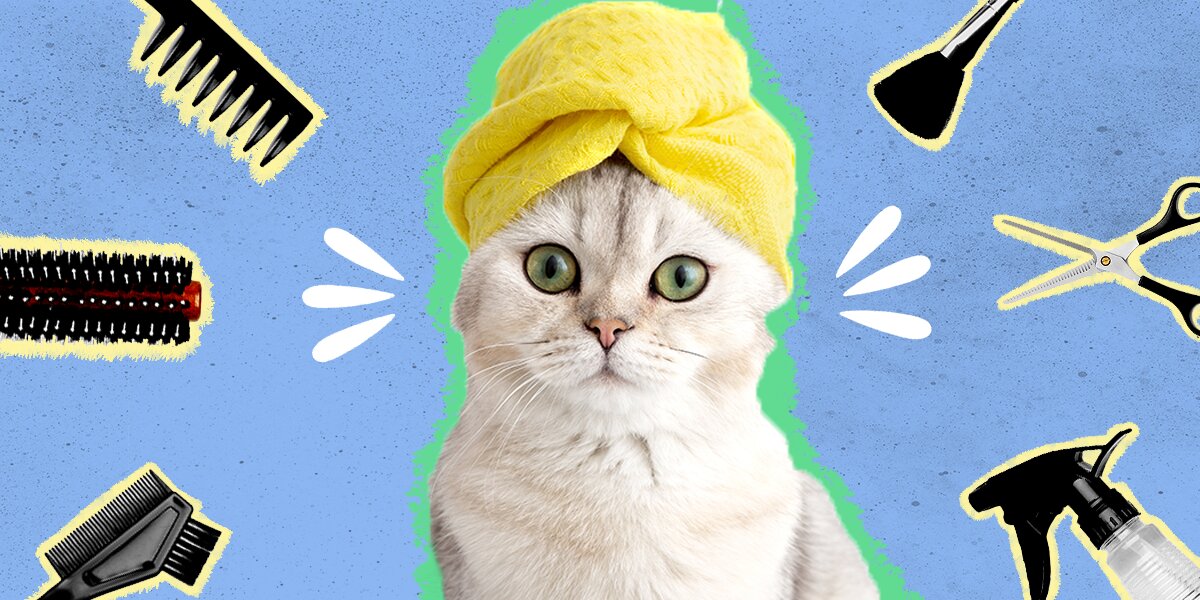 Cat trimmer deals