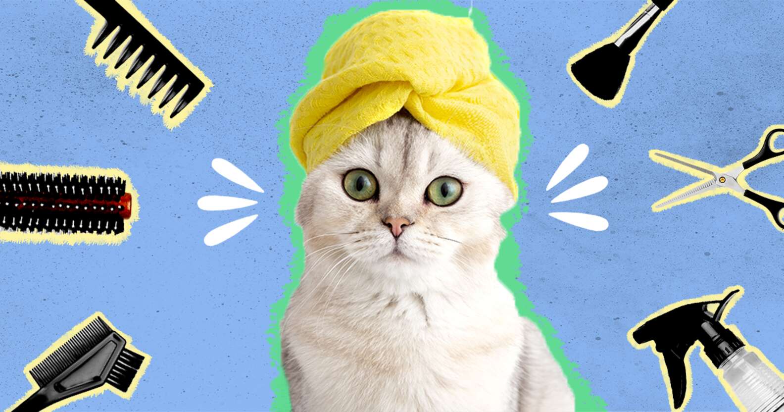 Cat grooming