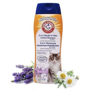 Cat best sale dander treatment