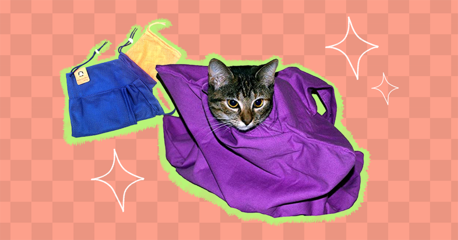 The 3 Best Cat Grooming Bags So You Can Finally Groom Your Cat At Home