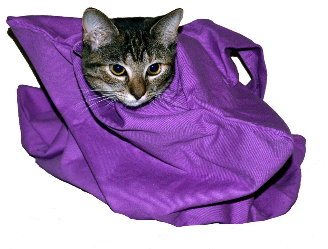 Top Performance Cat Grooming Bag