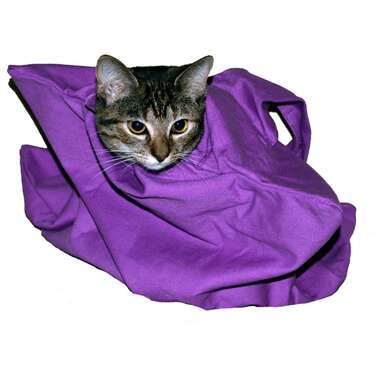 Best cat outlet grooming bag