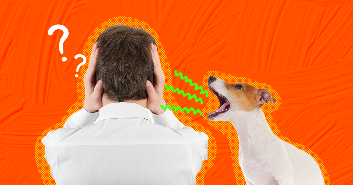 What Causes A Hoarse Bark In Dogs