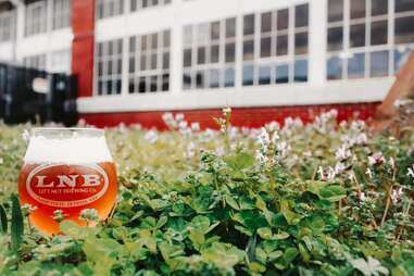 Georgia Beer Day