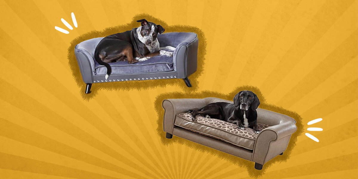 Best Dog Couch Beds So Your Pup Can Stay Off Your Sofa