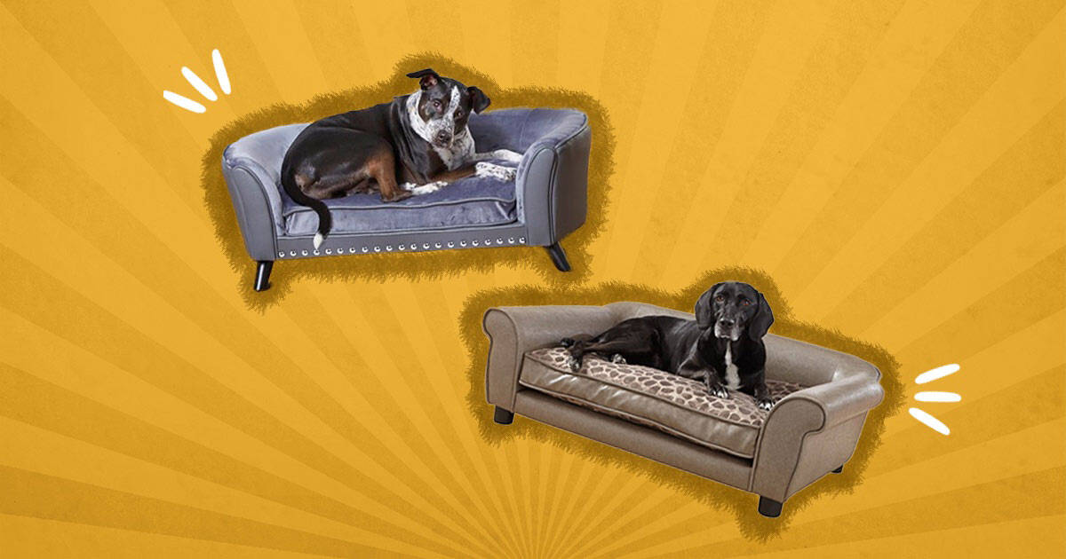 Best dog clearance sofa