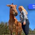 Woman Rescues Sweetest Zorse