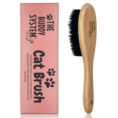 Best natural bristle cat brush for short hair: The Buddy System Boar Bristle Cat Hair Brush
