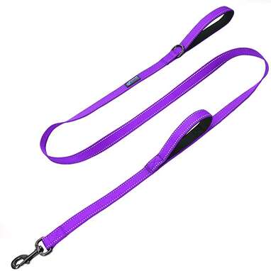 Best dog leash for city walking: Max and Neo Double Handle Traffic Dog Leash