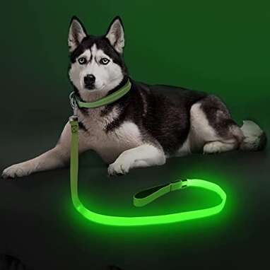 Best light-up dog leash: Illumiseen LED Dog Leash