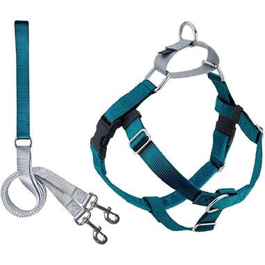 Best leash for dogs who pull: 2 Hounds Design Freedom No Pull Dog Harness