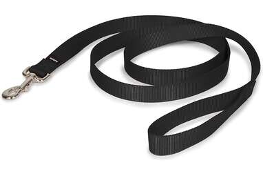 Best leash for puppies and small dogs: PetSafe Nylon Dog Leash