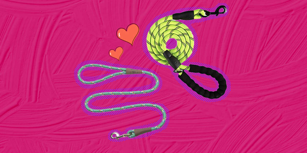 Best Dog Leashes Of 2022 DodoWell The Dodo