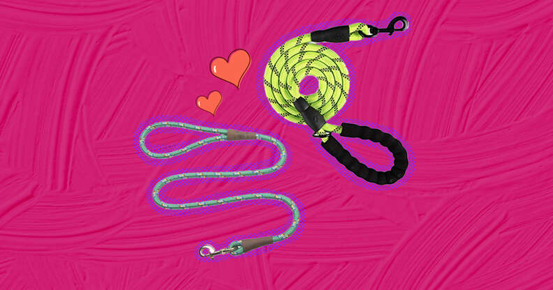 two dog leashes with hearts