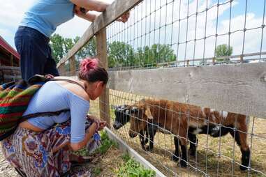 Luvin Arms Animal Sanctuary