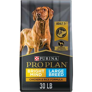 Senior dog food for large breeds: Purina Pro Plan Senior 7+ Brain Support