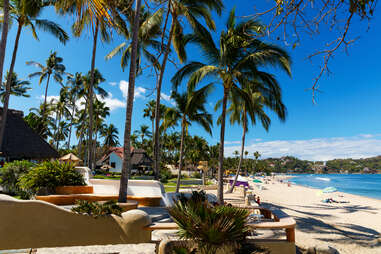 chairs and palm trees lining a beautiful beach