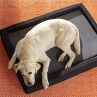 Best cooling dog bed: Layla Copper-Infused Pet Bed