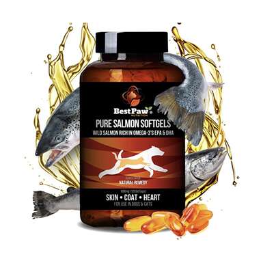 Salmon oil capsules: Best Paw Nutrition Pure Salmon Softgels