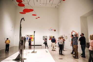 The Museum of Fine Arts, Houston