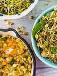 Salad with fried sprouts and fresh broccoli sprouts