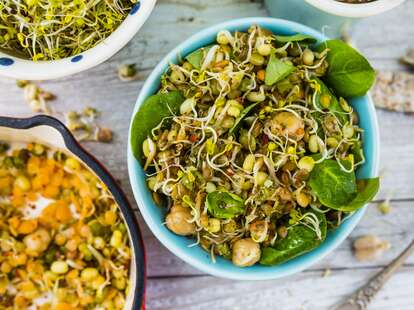 Salad with fried sprouts and fresh broccoli sprouts