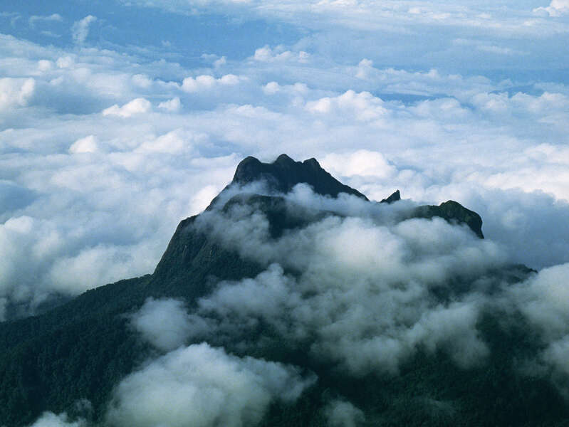 Visit Pico da Neblina in the