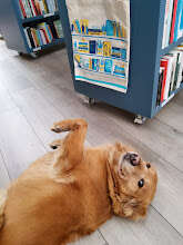 dog bookstore