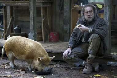 pig, nicolas cage