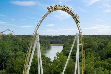 people on a rollercoaster above a forest
