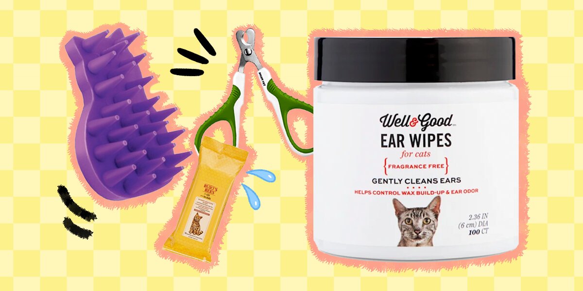 Best grooming tools for cats deals