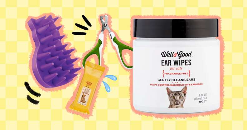 Cat grooming outlet supplies