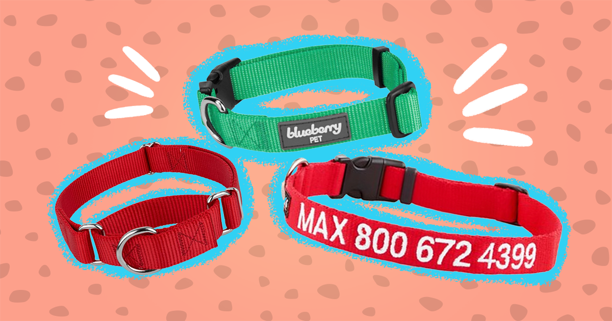 what are dog collars used for