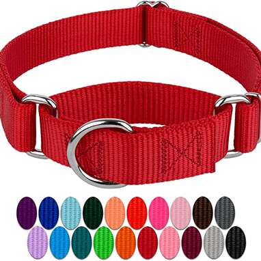 5 Collars For Puppies And Their ID Tags DodoWell The Dodo