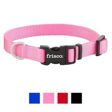 Best budget collar for puppies: Frisco Solid Nylon Dog Collar