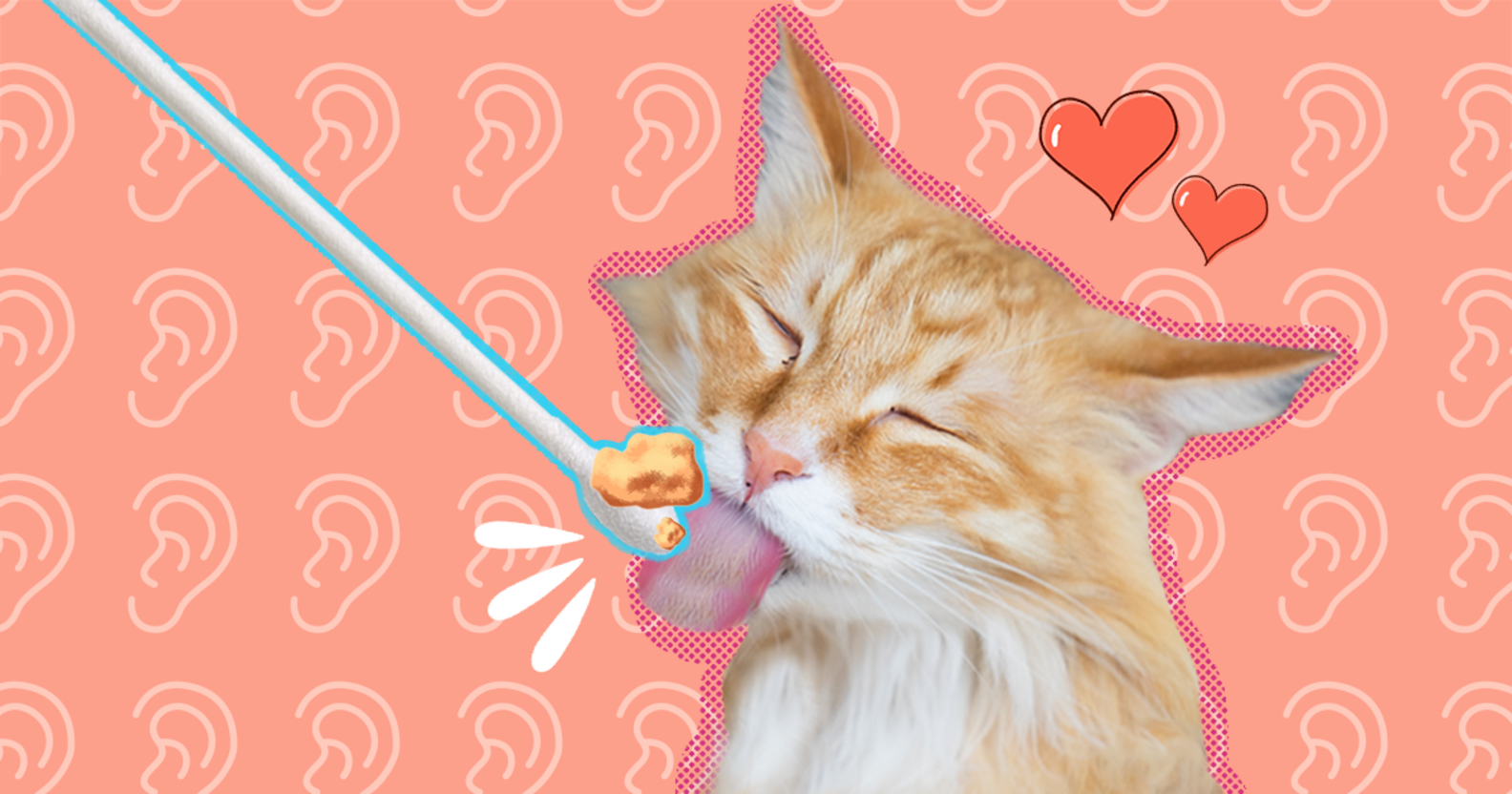 Why Do Cats Like Earwax? DodoWell The Dodo