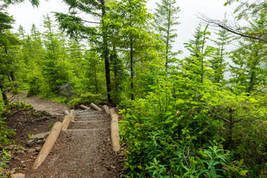 Tiger Mountain Trail