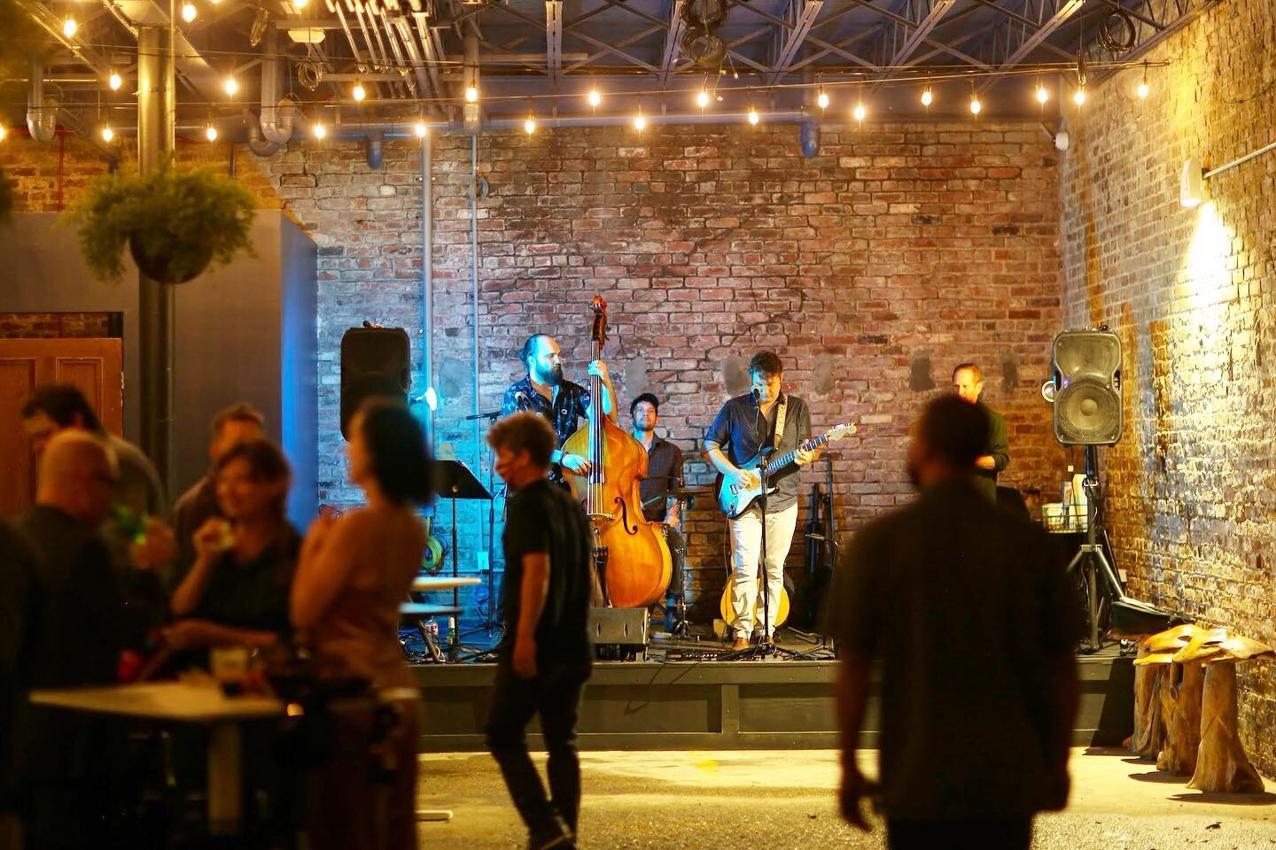 Best Bars in New Orleans Cool New Places to Drink & AllTime Favorites