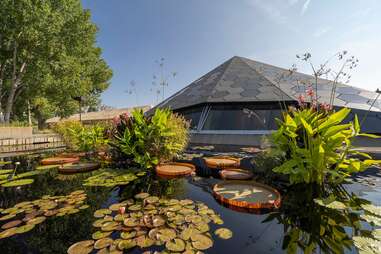 Denver Botanic Gardens