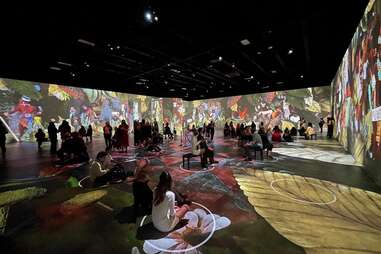 Immersive Frida Kahlo