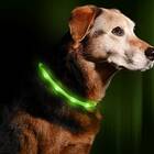 Illumiseen LED Dog Necklace Collar