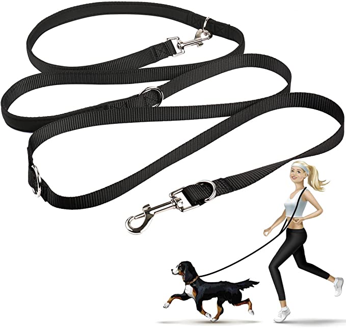 Hands Free Dog Leash The Best 3 Options According To A Trainer DodoWell The Dodo