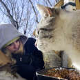 Woman Rescues Cats By Laying In The Snow In -40 Degrees