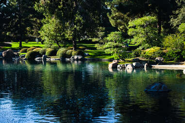 Japanese Friendship Garden of Phoenix