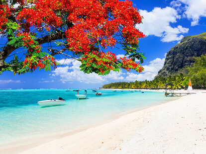 cdc avoid travel list covid-19